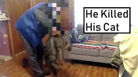 peluchin entertainment kills cat video|[Video] Indignante caso de maltrato animal: Youtuber chileno。